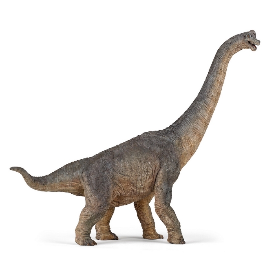Imagine PAPO FIGURINA DINOZAUR BRACHIOSAURUS