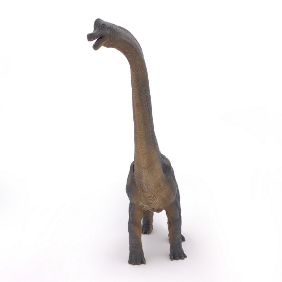 Imagine PAPO FIGURINA DINOZAUR BRACHIOSAURUS