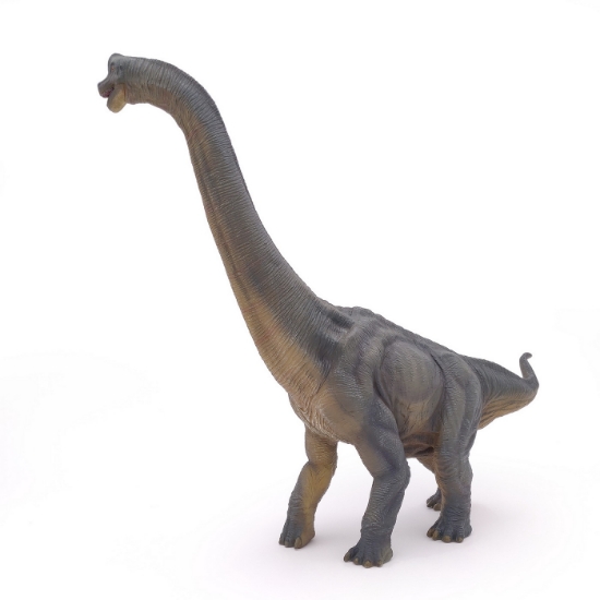 Imagine PAPO FIGURINA DINOZAUR BRACHIOSAURUS