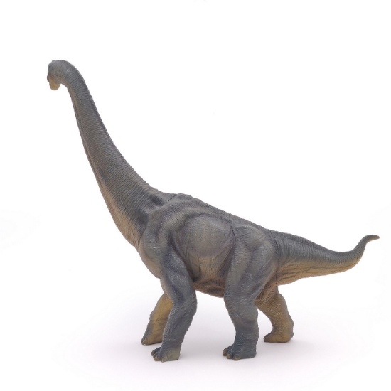 Imagine PAPO FIGURINA DINOZAUR BRACHIOSAURUS