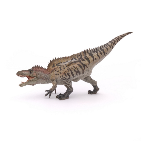 Imagine PAPO FIGURINA DINOZAUR ACROCHANTOSAURUS