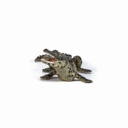 Imagine PAPO FIGURINA PUI DE CROCODIL