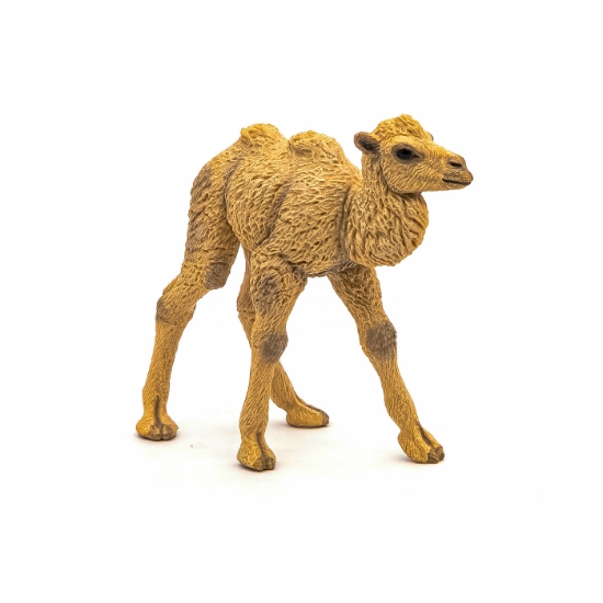 Imagine PAPO FIGURINA PUI CAMILA