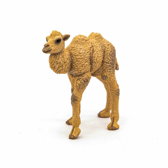 Imagine PAPO FIGURINA PUI CAMILA