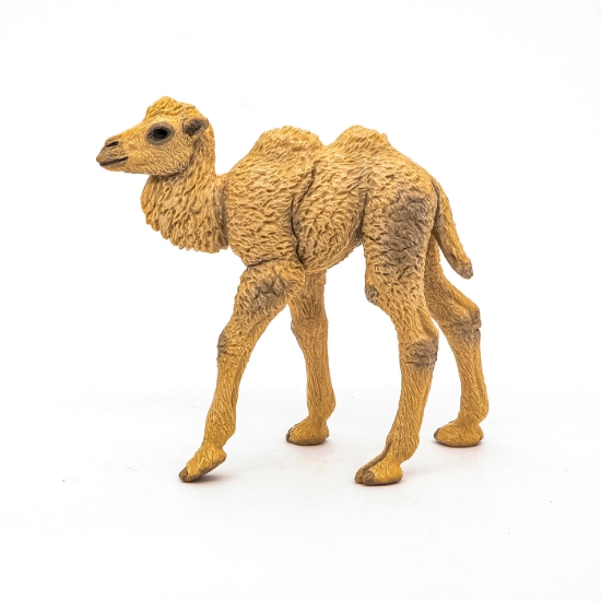 Imagine PAPO FIGURINA PUI CAMILA