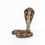Imagine PAPO FIGURINA SARPE COBRA
