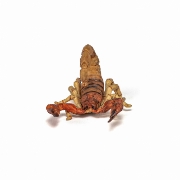 Imagine PAPO FIGURINA SCORPION