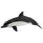 Imagine PAPO FIGURINA DELFIN COMUN CU CIOC SCURT