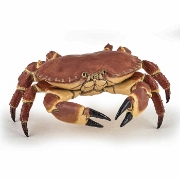 Imagine PAPO FIGURINA CRAB