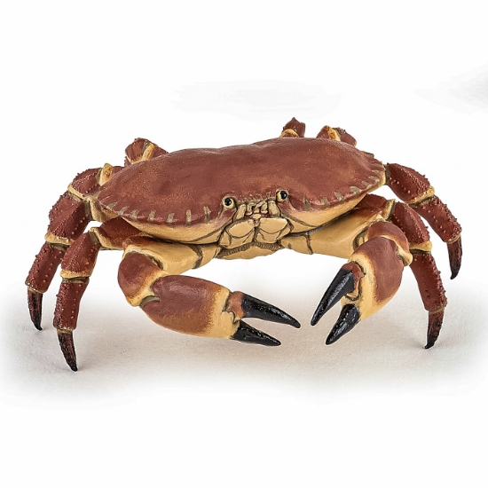 Imagine PAPO FIGURINA CRAB