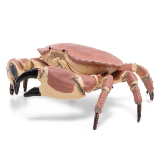Imagine PAPO FIGURINA CRAB