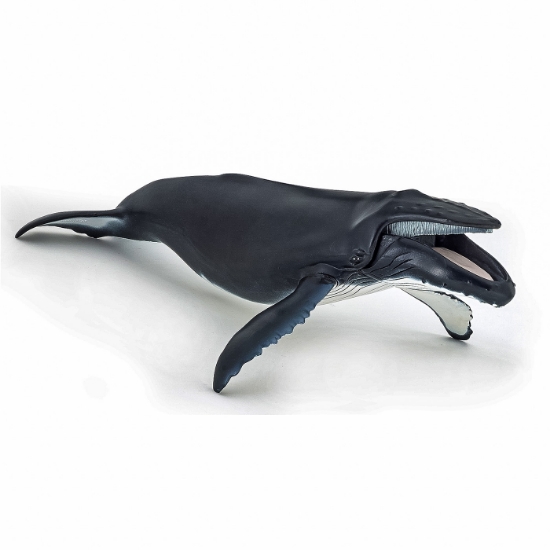 Imagine PAPO FIGURINA BALENA CU COCOASA