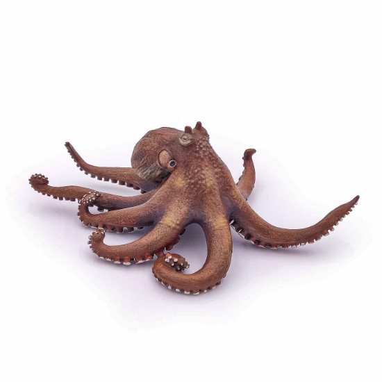 Imagine PAPO FIGURINA CARACATITA