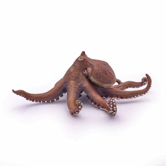 Imagine PAPO FIGURINA CARACATITA