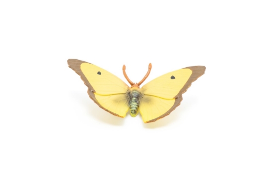 Imagine PAPO FIGURINA FLUTURE GALBEN