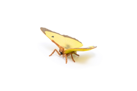 Imagine PAPO FIGURINA FLUTURE GALBEN