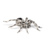 Imagine PAPO FIGURINA TARANTULA