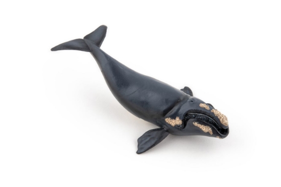 Imagine PAPO FIGURINA BALENA