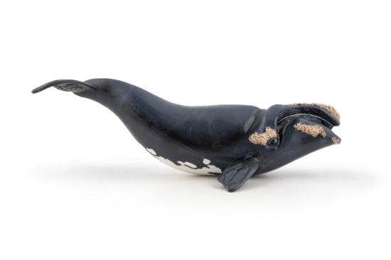 Imagine PAPO FIGURINA BALENA