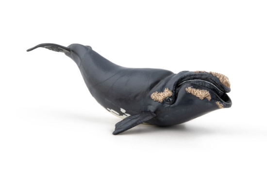 Imagine PAPO FIGURINA BALENA