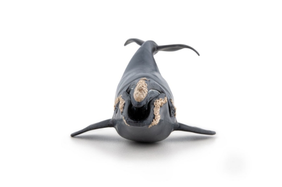 Imagine PAPO FIGURINA BALENA