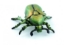 Imagine PAPO FIGURINA CARABUS