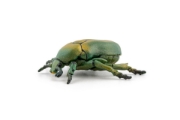 Imagine PAPO FIGURINA CARABUS