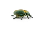 Imagine PAPO FIGURINA CARABUS