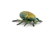 Imagine PAPO FIGURINA CARABUS