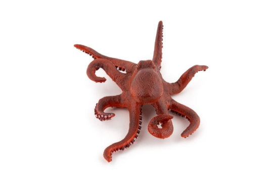 Imagine PAPO FIGURINA CARACATITA MICA