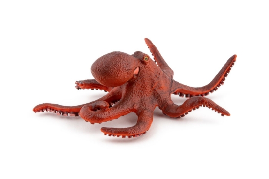 Imagine PAPO FIGURINA CARACATITA MICA