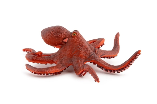 Imagine PAPO FIGURINA CARACATITA MICA