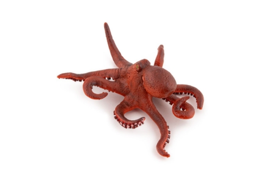 Imagine PAPO FIGURINA CARACATITA MICA