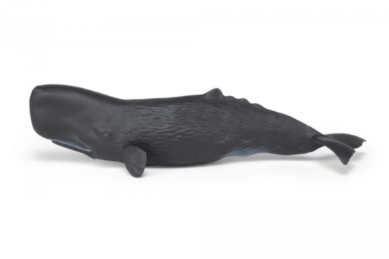 Imagine PAPO FIGURINA CASALOT