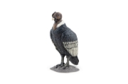 Imagine PAPO FIGURINA CONDOR