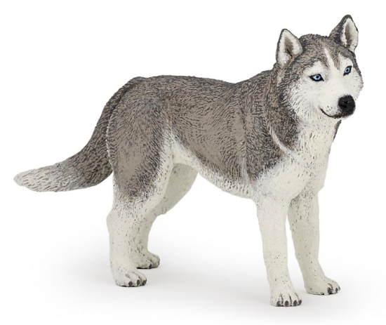 Imagine PAPO FIGURINA HUSKY SIBERIAN