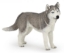 Imagine PAPO FIGURINA HUSKY SIBERIAN