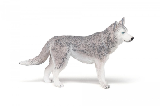 Imagine PAPO FIGURINA HUSKY SIBERIAN