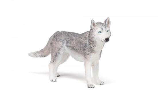 Imagine PAPO FIGURINA HUSKY SIBERIAN