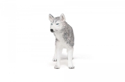 Imagine PAPO FIGURINA HUSKY SIBERIAN