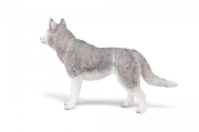 Imagine PAPO FIGURINA HUSKY SIBERIAN