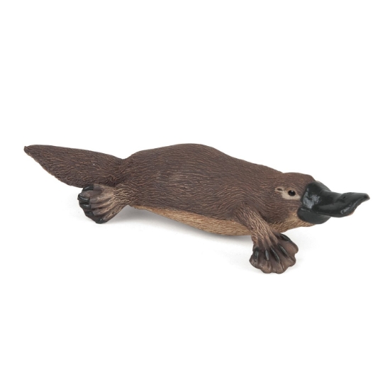 Imagine PAPO FIGURINA ORNITORINC