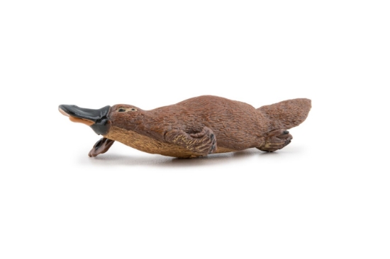 Imagine PAPO FIGURINA ORNITORINC