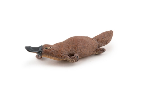 Imagine PAPO FIGURINA ORNITORINC