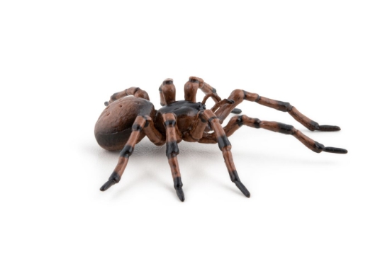 Imagine PAPO FIGURINA PAIANJEN