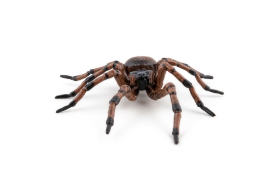 Imagine PAPO FIGURINA PAIANJEN