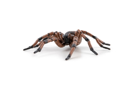 Imagine PAPO FIGURINA PAIANJEN