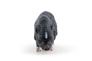 Imagine PAPO FIGURINA PORC VIETNAMEZ