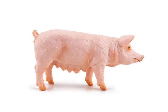 Imagine PAPO FIGURINA SCROAFA