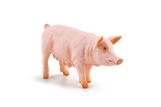 Imagine PAPO FIGURINA SCROAFA